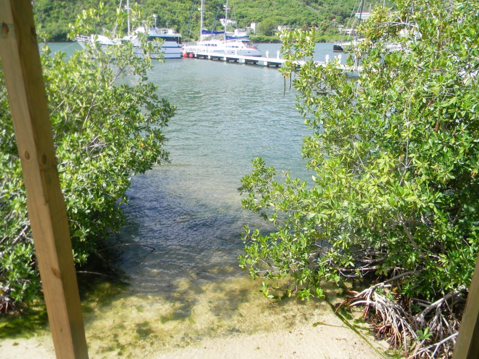 MLS# RTP  SEA COWS BAY - Cayman  Property